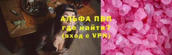 гидра Бородино