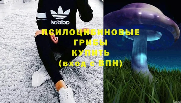 jwh Бугульма