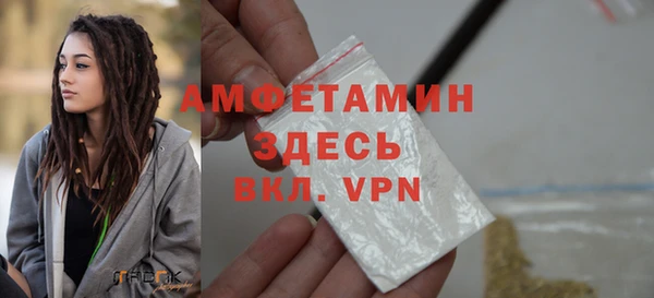 гидра Бородино