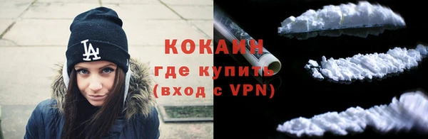 гидра Бородино