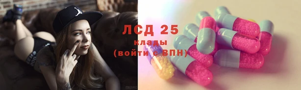 гидра Бородино