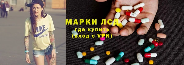гидра Бородино
