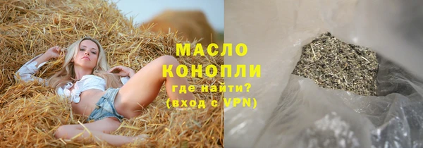 гидра Бородино