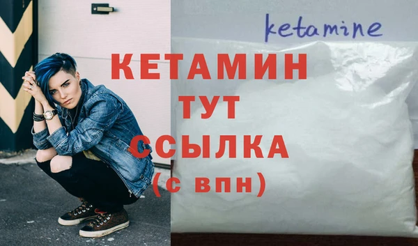 гидра Бородино