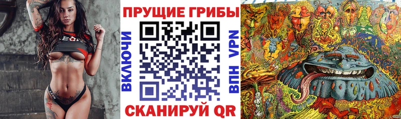 Галлюциногенные грибы Magic Shrooms  KRAKEN ссылки  Моршанск 